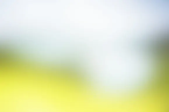 Fortune Casino Support